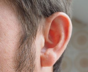 ear-1355652_1280